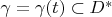 $\gamma = \gamma(t) \subset D^*$