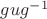 $gug^{-1}$
