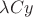 $\lambda Cy$