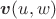 $\boldsymbol{v}(u,w)$
