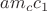 $am_cc_1$
