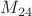 $M_{24}$