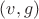 $(v,g)$