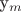 y_m