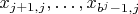 $x_{j+1,j}, \ldots, x_{b^j-1,j}$