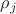 $\rho_{j}$