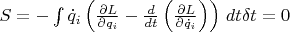 $S=-\int{{{{\dot{q}}}_{i}}\left( \frac{\partial L}{\partial {{q}_{i}}}-\frac{d}{dt}\left( \frac{\partial L}{\partial {{{\dot{q}}}_{i}}} \right) \right)}\ dt\delta t=0$