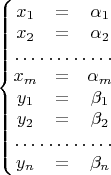 $\left\{ \begin{matrix}x_{1} & = & \alpha_{1}\\
x_{2} & = & \alpha_{2}\\
\hdotsfor{3}\\
x_{m} & = & \alpha_{m}\\
y_{1} & = & \beta_{1}\\
y_{2} & = & \beta_{2}\\
\hdotsfor{3}\\
y_{n} & = & \beta_{n}
\end{matrix}\right.$