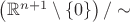 $\left(\mathbb{R}^{n+1}\setminus\{0\}\right)/\sim$