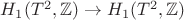 $H_1(T^2,\mathbb{Z})\to H_1(T^2,\mathbb{Z})$