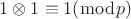 $1 \otimes 1 \equiv 1 (\bmod p)$