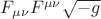 $F_{\mu\nu} F^{\mu\nu} \sqrt{-g}$