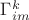 $\Gamma^k_{im}$