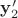 $\mathbf y'_2$