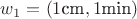 $w_1=(1\text{cm}, 1\text{min})$