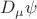 $D_{\mu} \psi$