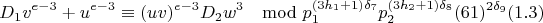 $$D_1v^{e-3}+u^{e-3}\equiv(uv)^{e-3}D_2w^3\mod p_1^{(3h_1+1)\delta_7}p_2^{(3h_2+1)\delta_8}(61)^{2\delta_9} (1.3)$$