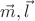 $\vec m,\vec l$