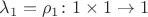 $\lambda_1 = \rho_1 \colon 1 \times 1 \to 1$