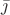$\bar{\jmath}$