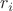 ${r_i}$