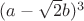 $(a-\sqrt2b)^3$