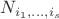 $N_{i_1, \dots, i_s}$