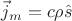 $\vec j_m = c \rho \hat s$