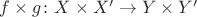 $f\times g\colon X\times X' \to Y\times Y'$