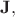 $\mathbf{J},$