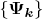 $\left\lbrace\boldsymbol{\Psi_{k}}\right\rbrace $