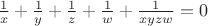 $\frac{1}{x}+\frac{1}{y}+\frac{1}{z}+\frac{1}{w}+\frac{1}{xyzw}=0$