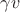 $\gamma v$