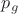 $p_g$