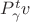 $P^t_\gamma v$