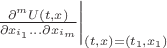 $\frac{\partial^{m}{U(t,x)}}{\partial{x_{i_{1}}}...\partial{x_{i_{m}}}} \bigg|_{(t,x)=(t_{1}, x_{1})}$