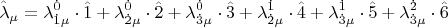 \[
\hat \lambda _\mu   = \lambda _{\dot 1\mu }^{\dot 0}  \cdot \hat 1 + \lambda _{\dot 2\mu }^{\dot 0}  \cdot \hat 2 + \lambda _{\dot 3\mu }^{\dot 0}  \cdot \hat 3 + \lambda _{\dot 2\mu }^{\dot 1}  \cdot \hat 4 + \lambda _{\dot 3\mu }^{\dot 1}  \cdot \hat 5 + \lambda _{\dot 3\mu }^{\dot 2}  \cdot \hat 6
\]