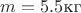 $m = 5.5 \text{кг}$