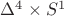$\Delta^4\times S^1$