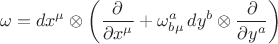 $$
\omega = dx^{\mu} \otimes \left(  \frac{\partial}{\partial x^{\mu}} + {\omega}^{a}_{b \mu} \, dy^b  \otimes \frac{\partial}{\partial y^a} \right)
$$