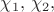 $\chi_1, \, \chi_2,$
