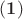 $\mathbf{(1)}$