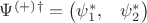 $\Psi^{(+)}^{\dagger} = \begin{pmatrix} \psi_1^*, & \psi_2^* \end{pmatrix}$