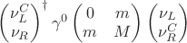 $\begin{pmatrix}\nu_L^{C}\\\nu_R\end{pmatrix}^\dagger\gamma^0\begin{pmatrix}0&m\\m&M\end{pmatrix}\begin{pmatrix}\nu_L\\\nu_R^{C}\end{pmatrix}$