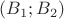 $(B_{1};B_{2}) $