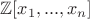 $\mathbb{Z}[x_{1},...,x_{n}]$