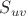 $S_{uv}$
