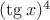 $(\tg x)^4$