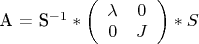 A = S^{-1} * \left( \begin{array}{cc} \lambda & 0 \\ 0 & J\\ \end{array} \right) * S