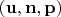 $(\mathbf{u},\mathbf{n},\mathbf{p})$